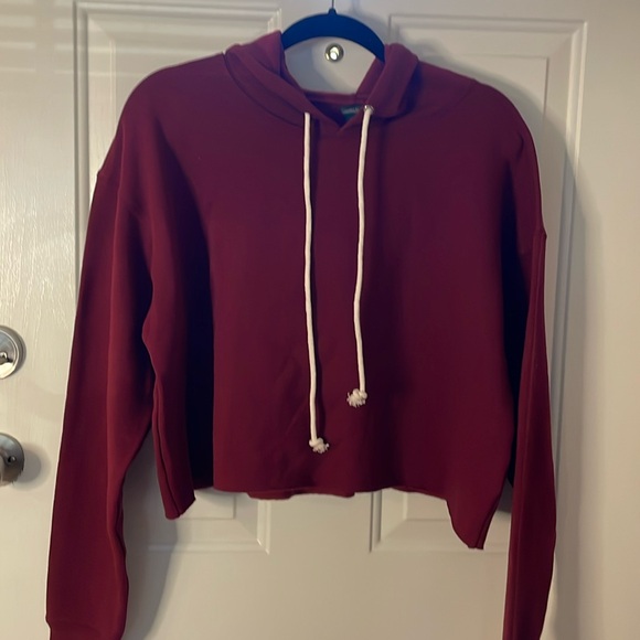NWOT Wild Fable cotton/polyester maroon hooded cropped soft sweatshirt, Size L - Picture 1 of 6